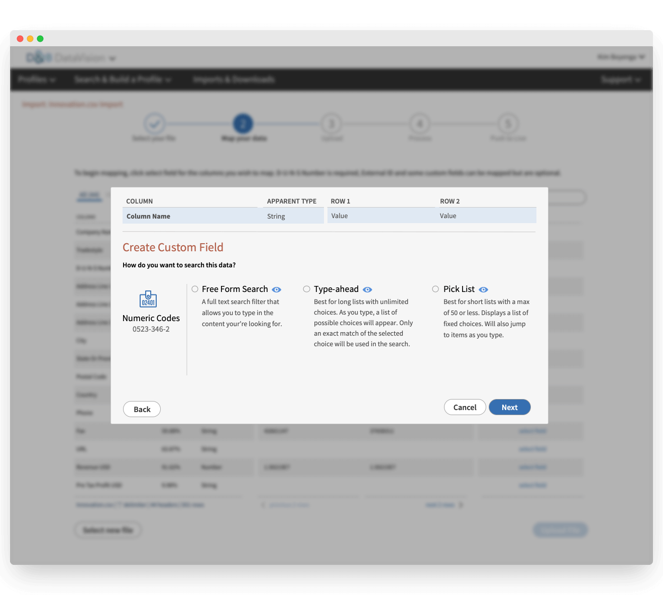 DataVision Custom Fields