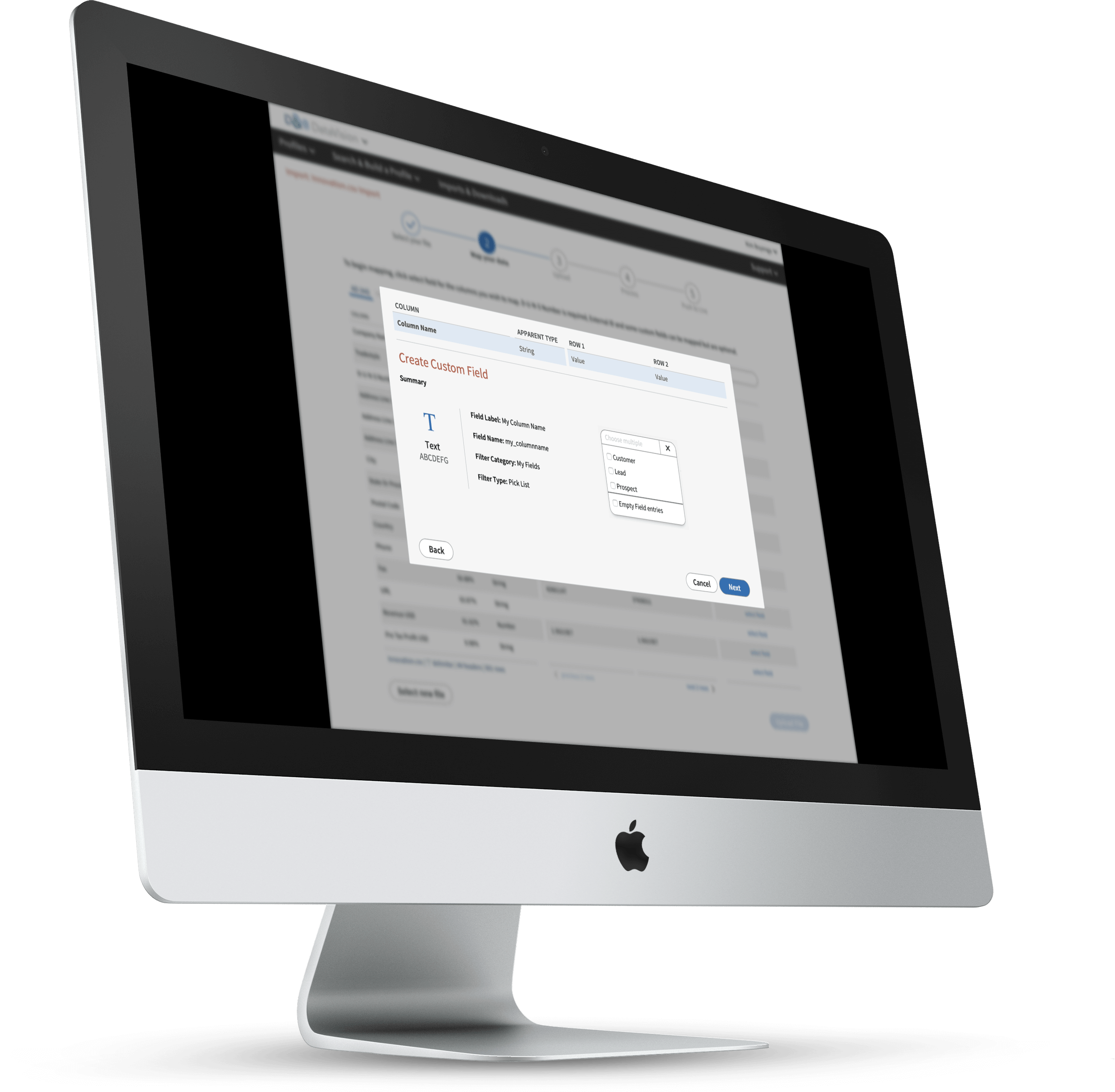 DataVision Custom Fields